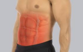 Abdominal Muscles